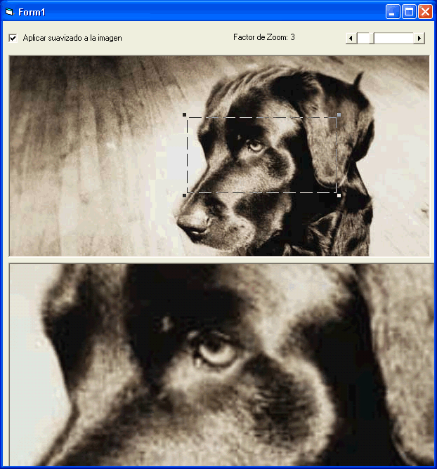 vista del ejemplo para hacer un zoom de un gráfico mediante el api de windows