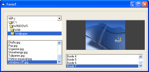vista previa del control ocx visualizando una imagen en vista previa